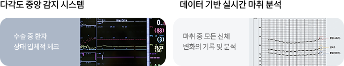 2중 안전 모니터링