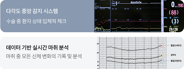 2중 안전 모니터링
