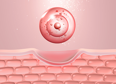 스킨케어 솔루션